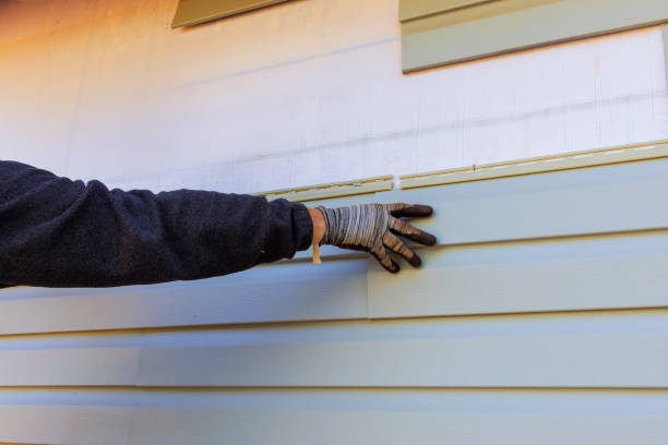 Best Aluminum Siding Installation  in Brookside, NJ